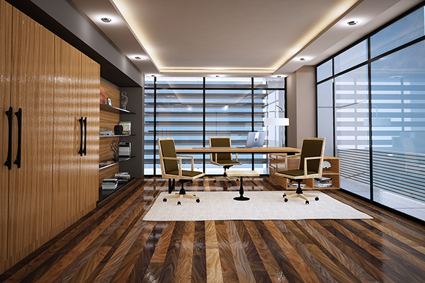 Office Interior Design 